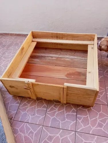 Caixa de Maternidade - American Bully, Exotic Bully e Brazilian Bully.