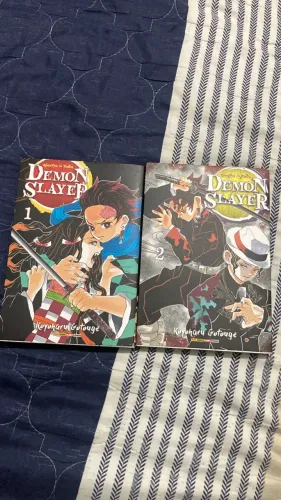 Demon Slayer Mangá