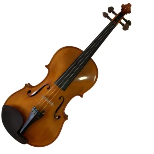Violino Profissional 4/4 + Arco + Case + Breu + Spallera