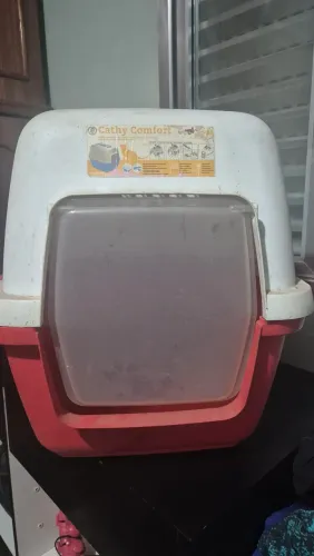 Banheiro de gato