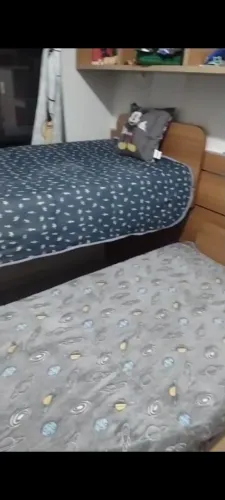 Bi cama