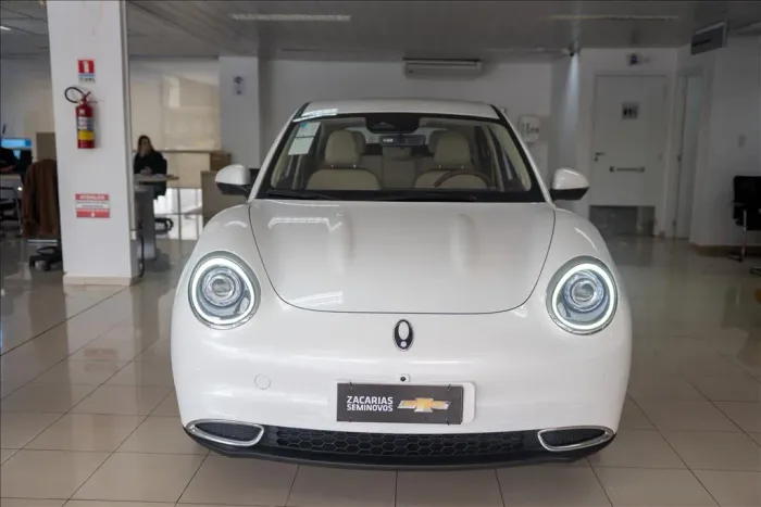 GWM Ora 03 Skin (elétrico) 2025