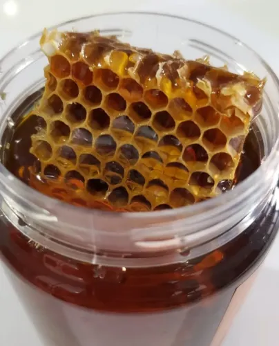 Vendo Mel Puro Natural com Favo ?
