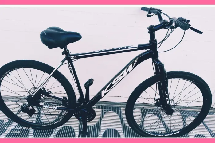 Bicicleta aro 29