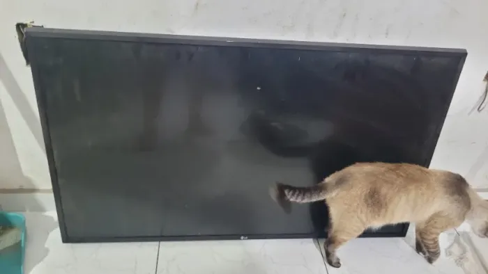 TV LG