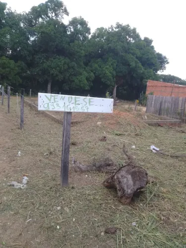 Terreno