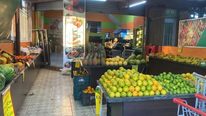 Hortifrut a venda