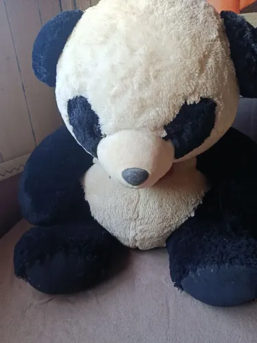 Urso panda