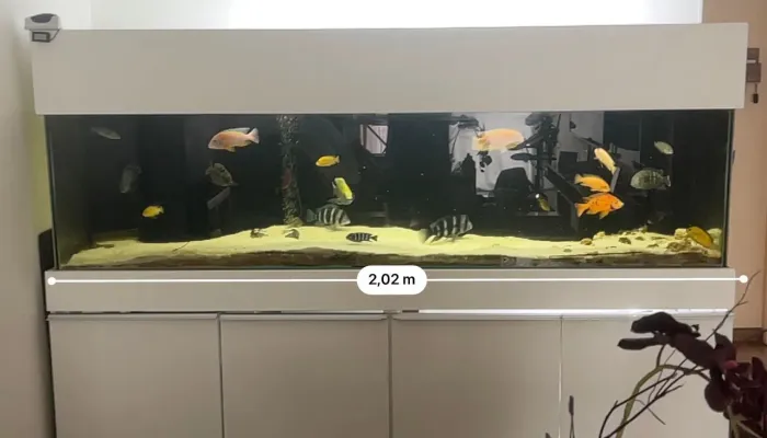 VENDO AQUARIO 200×50×50 