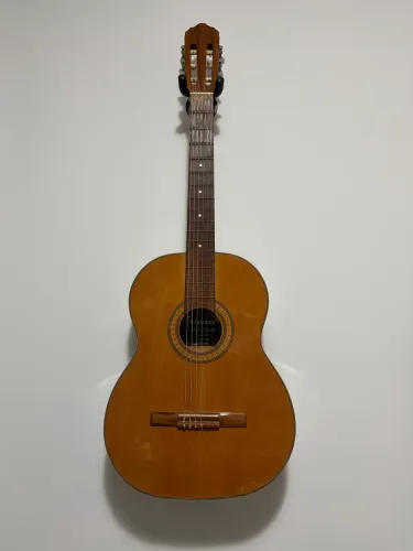 Violão Giannini Série Estudo 1900