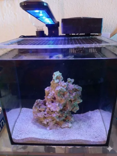 Nano aquário 20 litros completo 