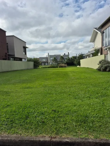 Lagos de São Gonçalo- Excelente terreno de fundo para o lago