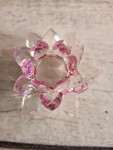 A FLOR DE LÓTUS