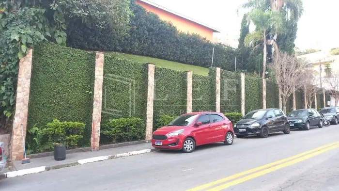 Rua das Camélias - Parque Assunção