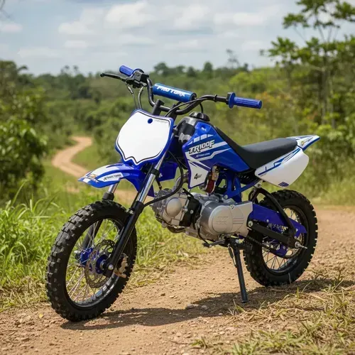 MINI MOTO PRO TORK TR 100F