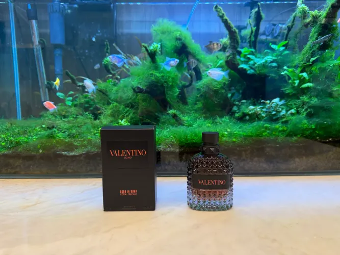 Valentino coral fantasy