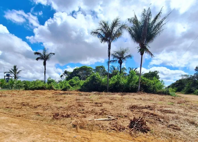 Vende-se terreno 20x40,plano,vista rio,condomínio,documentado Fone/Whatsapp *.