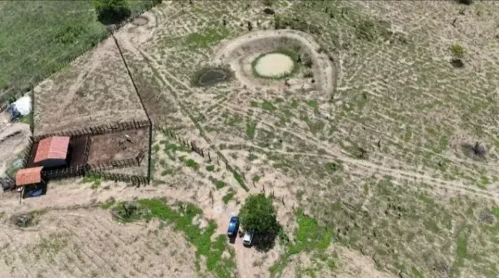 Fazenda 140 Hectares na PE-90 | Ideal para Pecuária e Agricultura