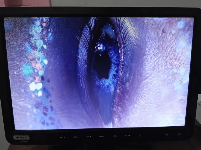 Monitor Multimídia Knup KP-D116 15,4" com TV Digital, HDMI e USB