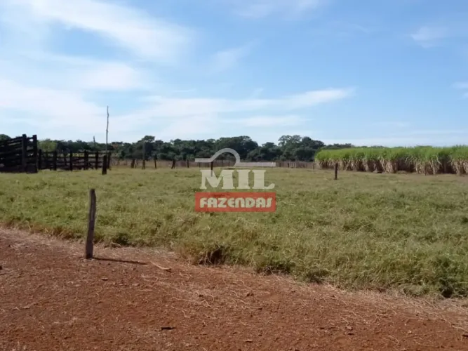 Fazenda em Acreuna-GO. . 40 Alq. (193 Há). Cana ou Grãos
