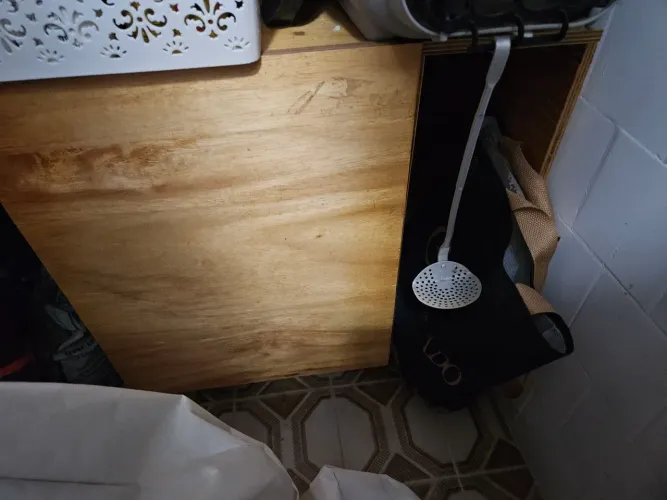 Movel Higiênico Gato