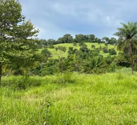 Vende-se Fazenda com 214 alqueires em Israelandia-GO