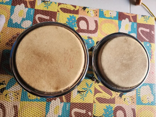 Bongôs Profissionais em Ótimo Estado