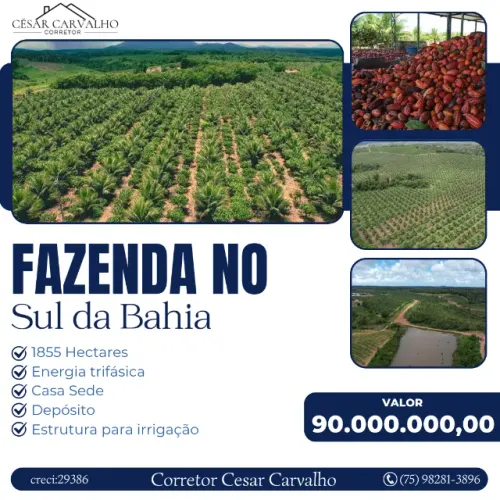 FAZENDA NO SUL DA BAHIA - 1855 TAREFAS