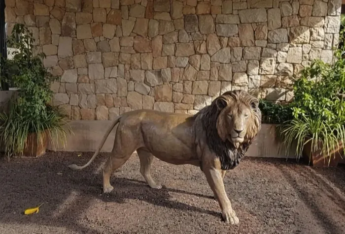 Escultura de leão