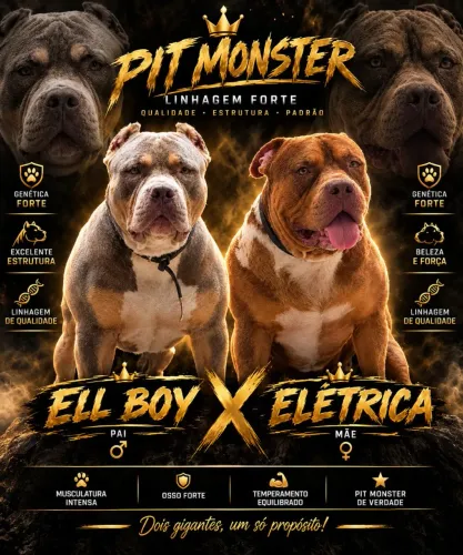 ? FILHOTES PIT MONSTER