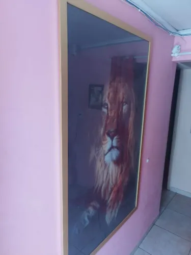 Quadro Grande de Leão com Moudura e Vidro - 1,57m Altura e 97cm