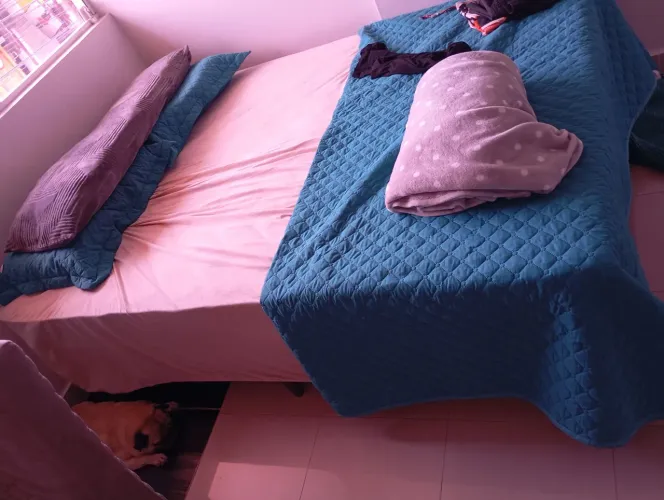 Cama Nova embalada (casal)