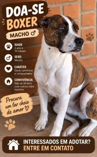 Doa se Boxer