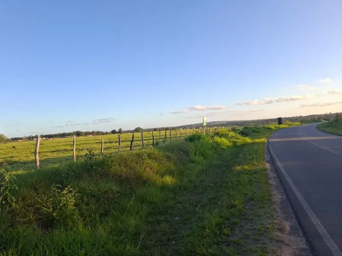 ÁREA DE TERRA, DISPONIVEL À 500M DA BR - 324