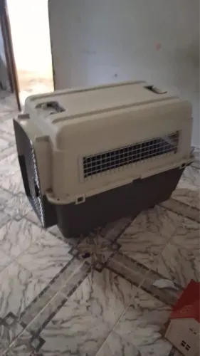 Casa transporte cachorro 