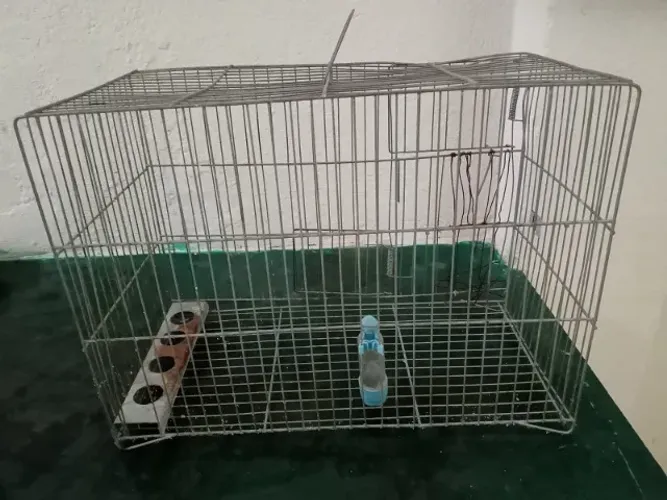 Gaiolas para Passarinho