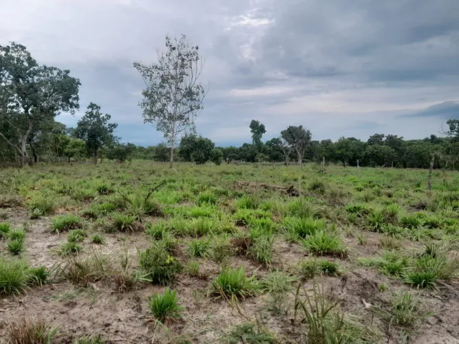 20 alqueires em Divinopolis do Tocantins