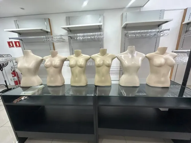 Busto feminino
