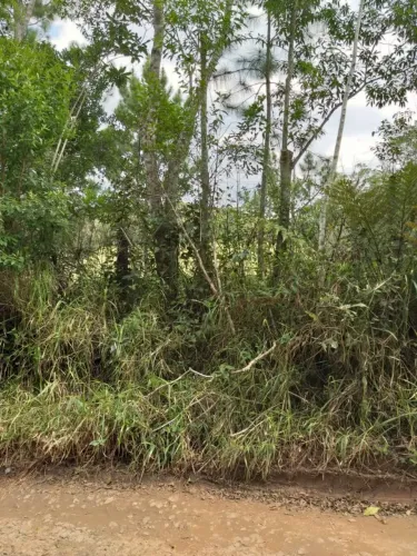 Terreno Plano, Ac. Oferta A Vista, 2.500m², Embura (Região Parelheiros, Cipó) $ 70 Mil