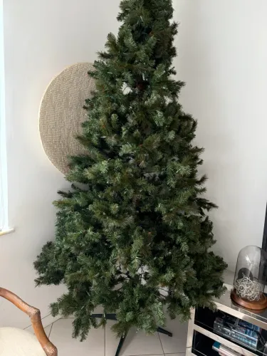 Árvore de Natal