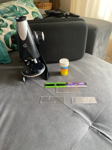 Microscópico
