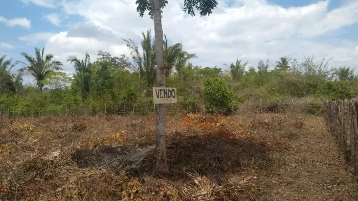 Terreno, com 1600m², excelente para chácara