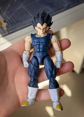 Vegeta Black Hole A + Head base TK