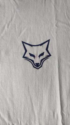 kits 2 camisas cruzeiro raposa 100% algodão