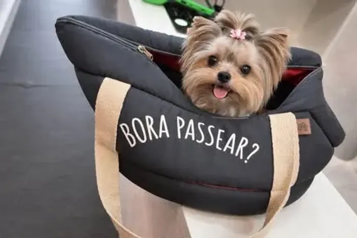 Bolsa passeio pet