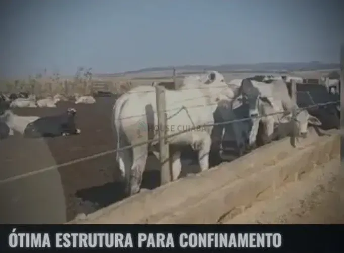 fazenda nova casa branca no triangula Mineiro de 5050 hectares