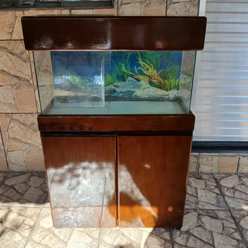 Aquário com móvel 200litros