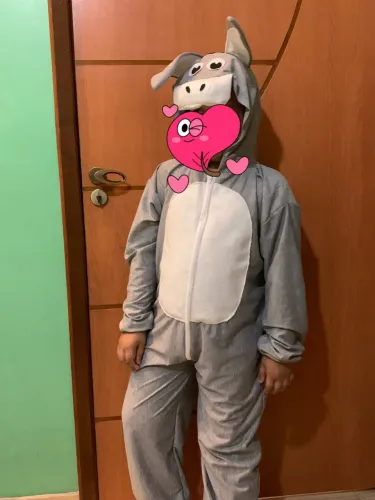 Fantasia do Burrinho