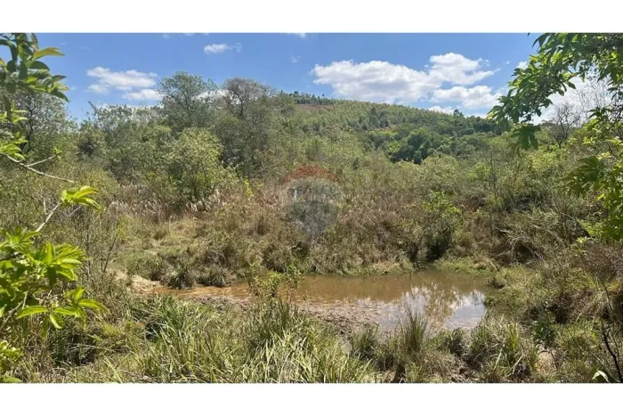 fazenda em Santa Rita de Bitpoca
