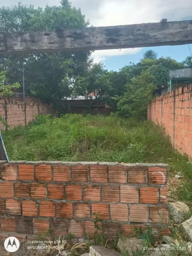 Roçagem em geral no precinho
